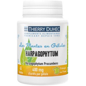 Thierry Duhec Harpagophytum 400 mg : Conditionnement - 180 gelules