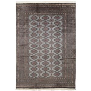 Noue a la main. Origine: Pakistan Tapis Fait Main Pakistan Boukhara 2Ply 186X262 Marron/Noir (Laine, Pakistan)