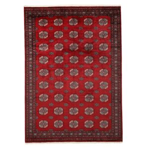 Noue a la main. Origine: Pakistan Tapis Fait Main Pakistan Boukhara 3Ply Tapis 275X384 Rouge Fonce/Noir Grand (Laine, Pakistan)