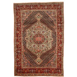 Noue a la main. Origine: Persia / Iran Bakhtiar Collectible Tapis 215x315