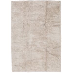 RugVista Lotus Tapis 240x350