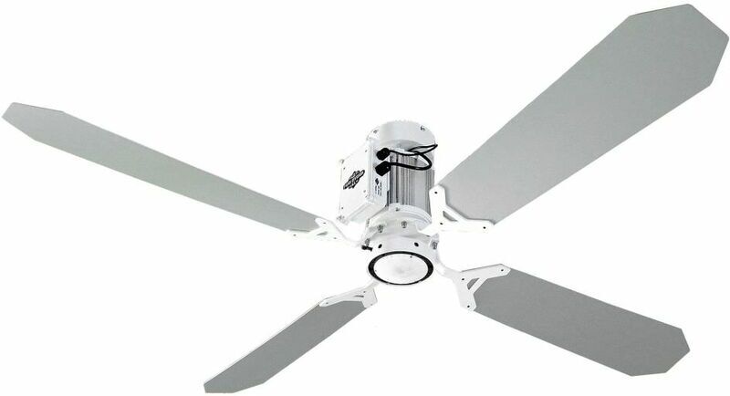 RAZZETTI Éventail gris et blanc avec lumière LED cm 132xh30 FAN-GTGB-02 RAZZETTI Éventail gris et blanc avec lumière LED cm 132xh30 FAN-GTGB-02