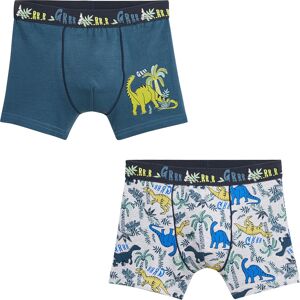 Petit Beguin Lot de 2 boxers garcon Brontonsaure