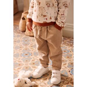 Petit Beguin Pantalon en velours côtele bebe garcon Colorado