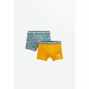 Petit Beguin Lot de 2 boxers garcon Dino Jungle