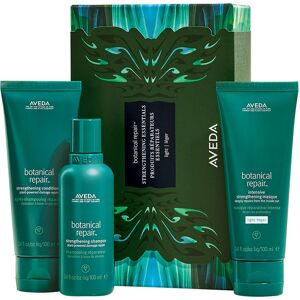 Aveda Coffret Botanical Repair™ Cadeaux Femme