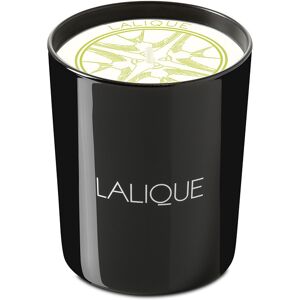 Lalique Bougie Yuzu Shikoku Parfums d'intérieur & Bougies