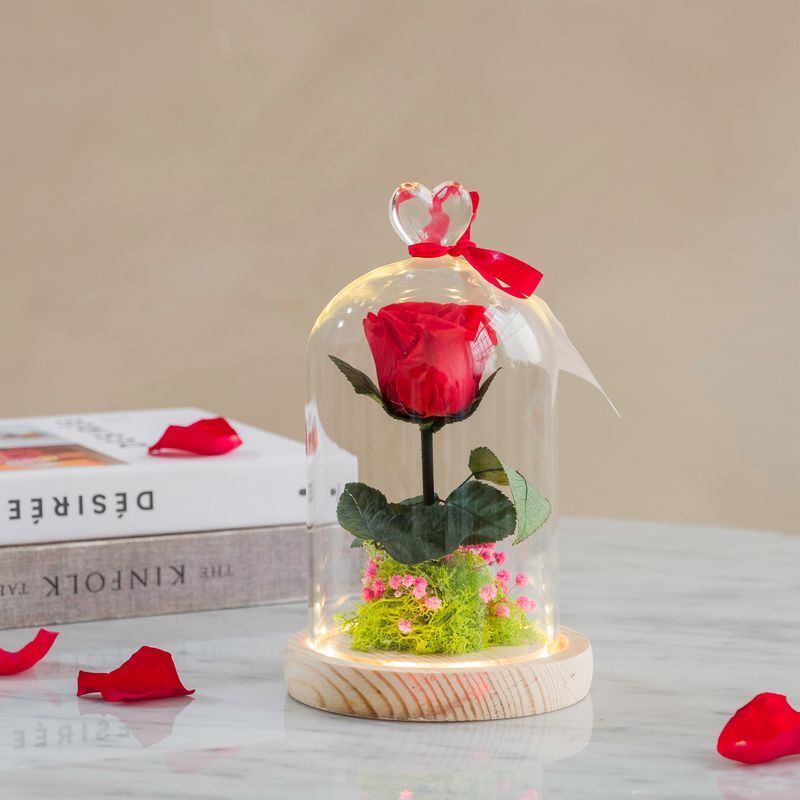 Interflora Rose sous cloche lumineuse - Collection Cadeaux - Interflora