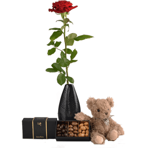 Cadeau livre en 4H : Rose rouge, Chocolats et Peluche - Interflora