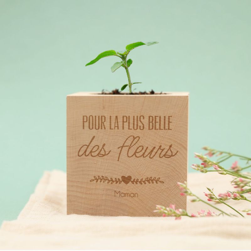 Eco-cube  - Interflora - Livraison de cadeaux personnalisés