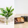 Bouquet de muguet et ses chocolats - Livraison de fleurs - Interflora