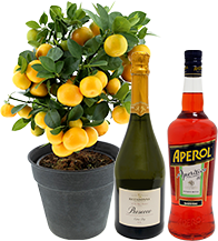 Interflora Calamondin et son spritz