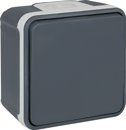 EUR'OHM Bouton poussoir OXXO - 10 A - Gris EUR'OHM Bouton poussoir OXXO - 10 A - Gris