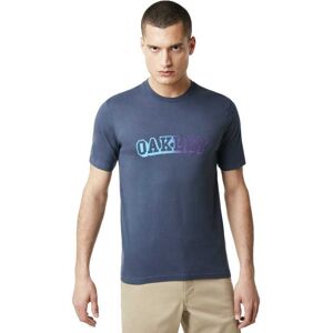 Tee-shirt Oakley Velvet Logo Foggy Blue