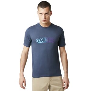 OAKLEY Tee-shirt Oakley Velvet Logo Foggy Blue