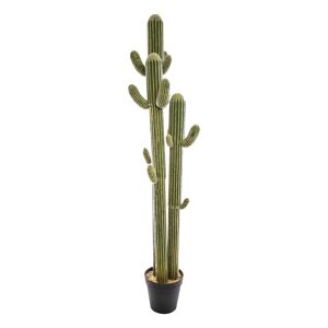 Atmosphera Cactus artificiel 3 troncs H203 cm - Publicité