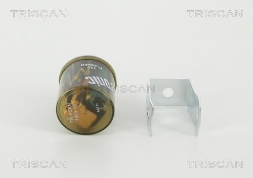 Triscan A/S Centrale clignotante électronique 12.0 V (Ref: 1000 HD13)