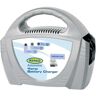 RING - Chargeur de batterie 12.0 V pour Batteries Batterie au plomb (Ref: RECB104)