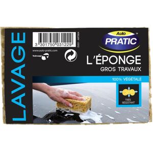 Auto Pratic Eponge (Ref: EV01)