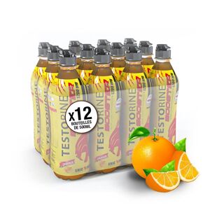 Eric Favre Boisson testorine Endurance & Performance - Orange - Pack de 12 unités - Eric Favre