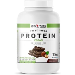 Eric Favre Protéines végétales tri-source, Protein Vegan, Chocolat/Noisette Proteines - Chocolat - Noisette - 1,5kg - Eric Favre Violet M