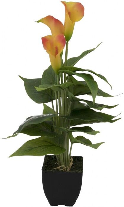 EUROPALMS Mini Calla, plante artificielle, jaune-orange, 43cm - Fleurs