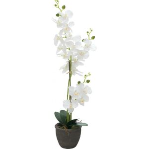 EUROPALMS Orchidée, plante artificielle, blanc, 80cm - Fleurs