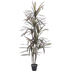 Europalms EUROPALMES Dracaena, vert-rouge, artificiels, 180cm - Fleurs