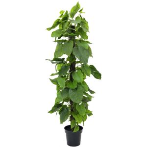 EUROPALMS Plante Pothos, artificielle, 180cm - Branches et buissons