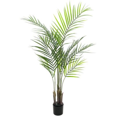 EUROPALMS Palmier Areca avec grandes feuilles, plante artificielle, 125cm - Palmiers - Publicité EUROPALMS Palmier Areca avec grandes feuilles, plante artificielle, 125cm - Palmiers - Publicité