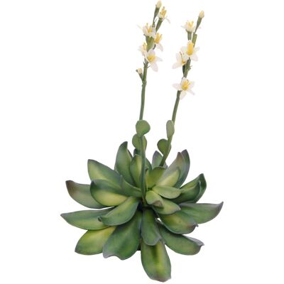 EUROPALMS Joubarbe - Plante Artificielle - 32cm - Publicité EUROPALMS Joubarbe - Plante Artificielle - 32cm - Publicité