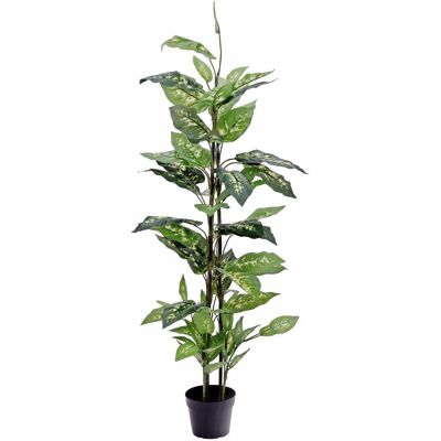 Europalms EUROPALMES Dieffenbachia, artificiel, 120cm - Fleurs - Publicité Europalms EUROPALMES Dieffenbachia, artificiel, 120cm - Fleurs - Publicité
