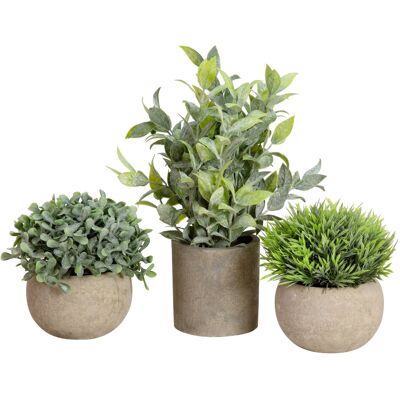 EUROPALMS Plantes de table en pots, plantes artificielles, Lot de 3 - Arrangements de plantes - Publicité EUROPALMS Plantes de table en pots, plantes artificielles, Lot de 3 - Arrangements de plantes - Publicité