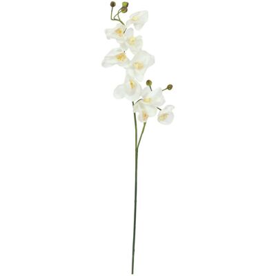 Branche d'orchidée Europalms - Artificielle, Crème, 1m - Publicité Branche d'orchidée Europalms - Artificielle, Crème, 1m - Publicité