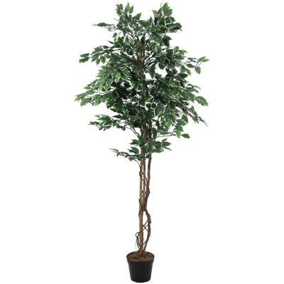 Plante Artificielle Europalms Ficus Benjamini - 180cm - Publicité Plante Artificielle Europalms Ficus Benjamini - 180cm - Publicité