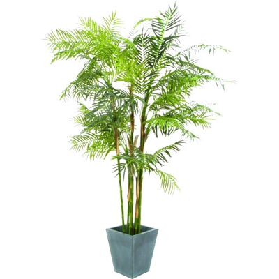 EUROPALMS Cycas palm, plante artificielle, 280cm - Palmiers - Publicité EUROPALMS Cycas palm, plante artificielle, 280cm - Palmiers - Publicité