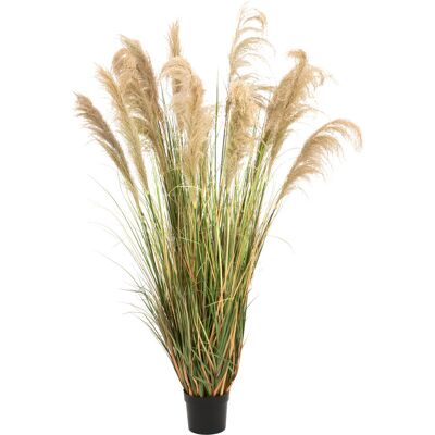 EUROPALMS Pâturin de Chine, artificiel, 180cm - Arrangements de plantes - Publicité EUROPALMS Pâturin de Chine, artificiel, 180cm - Arrangements de plantes - Publicité