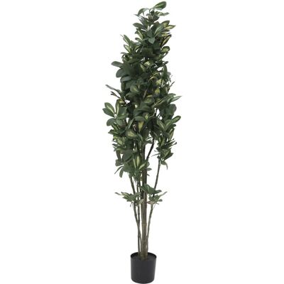 Plante Artificielle Europalms Schefflera - 120cm Décor Tropical - Publicité Plante Artificielle Europalms Schefflera - 120cm Décor Tropical - Publicité