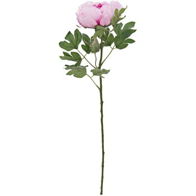 Branche de pivoine rose - Plante artificielle EUROPALMS - Publicité Branche de pivoine rose - Plante artificielle EUROPALMS - Publicité