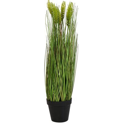 Europalms EUROPALMES Blé début été, artificiel, 60cm - Branches et buissons - Publicité Europalms EUROPALMES Blé début été, artificiel, 60cm - Branches et buissons - Publicité