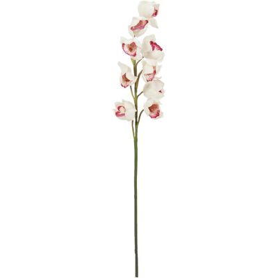 EUROPALMS Branche de cymbidium, artificielle, blanc-rose, 90cm - Branches et buissons - Publicité EUROPALMS Branche de cymbidium, artificielle, blanc-rose, 90cm - Branches et buissons - Publicité