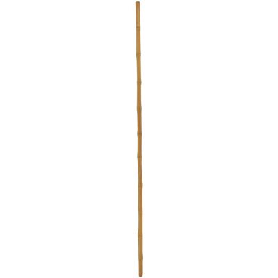 EUROPALMS Tube en bambou, Ø=3cm, 200cm - Branches et buissons - Publicité EUROPALMS Tube en bambou, Ø=3cm, 200cm - Branches et buissons - Publicité