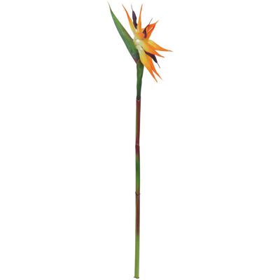 EUROPALMS Oiseau de paradis en spray, plante artificielle, orange, 95cm - Fleurs - Publicité EUROPALMS Oiseau de paradis en spray, plante artificielle, orange, 95cm - Fleurs - Publicité