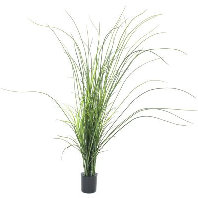 EUROPALMS Roseau (herbe), artificiel, 145cm - Herbes - Publicité EUROPALMS Roseau (herbe), artificiel, 145cm - Herbes - Publicité