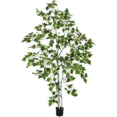 EUROPALMS Bouleau, plante artificielle, 180cm - Arbres - Publicité EUROPALMS Bouleau, plante artificielle, 180cm - Arbres - Publicité
