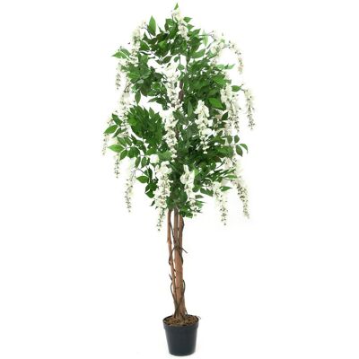 Europalms Glycine, plante artificielle, blanche - 150cm - Publicité Europalms Glycine, plante artificielle, blanche - 150cm - Publicité