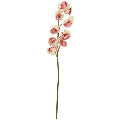 Europalms EUROPALMES Branche de cymbidium, artificielle, rose-crème, 90cm - Branches et buissons - Publicité Europalms EUROPALMES Branche de cymbidium, artificielle, rose-crème, 90cm - Branches et buissons - Publicité