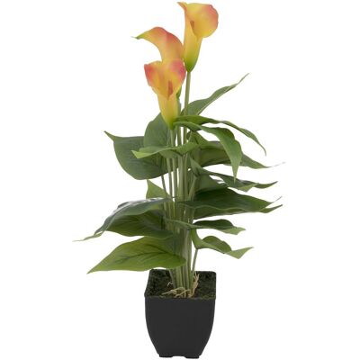 EUROPALMS Mini Calla, plante artificielle, jaune-orange, 43cm - Fleurs - Publicité EUROPALMS Mini Calla, plante artificielle, jaune-orange, 43cm - Fleurs - Publicité