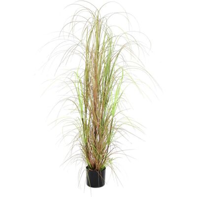 EUROPALMS Buisson de Gazon - Artificiel, 150cm - Usage intérieur - Publicité EUROPALMS Buisson de Gazon - Artificiel, 150cm - Usage intérieur - Publicité