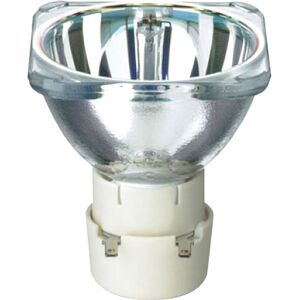 Philips MSD Platinum 5R 8 000 K - Lampes pour socle spécial